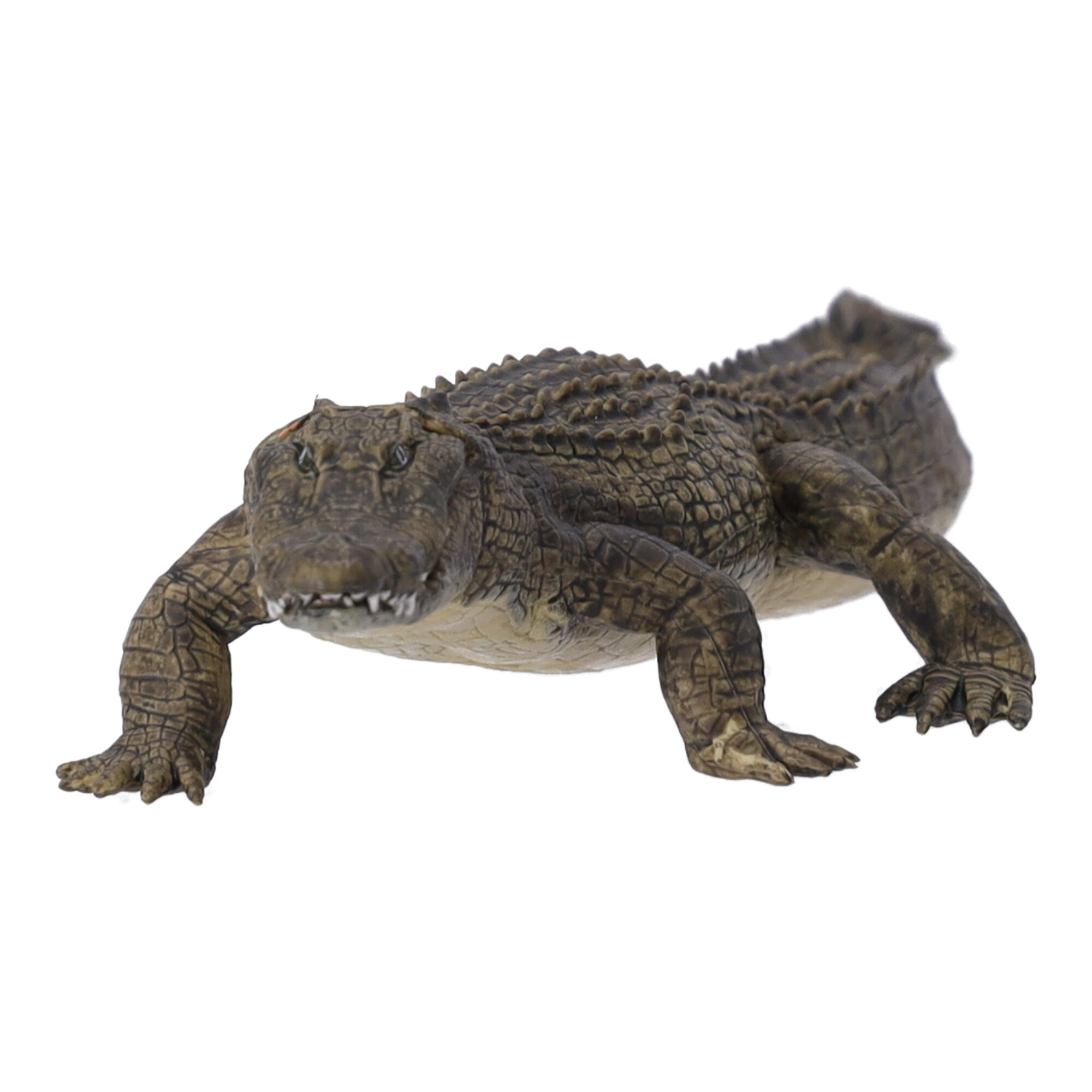 Collectible figurine Alligator, Papo - Main Image