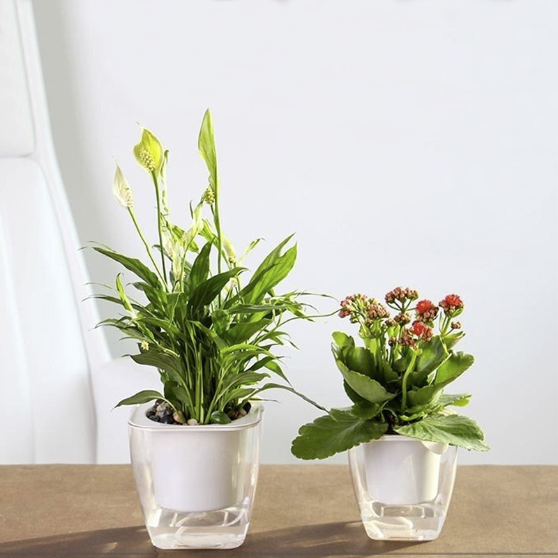 Selbstbewässerungstopf für Blumen und Pflanzen - klein