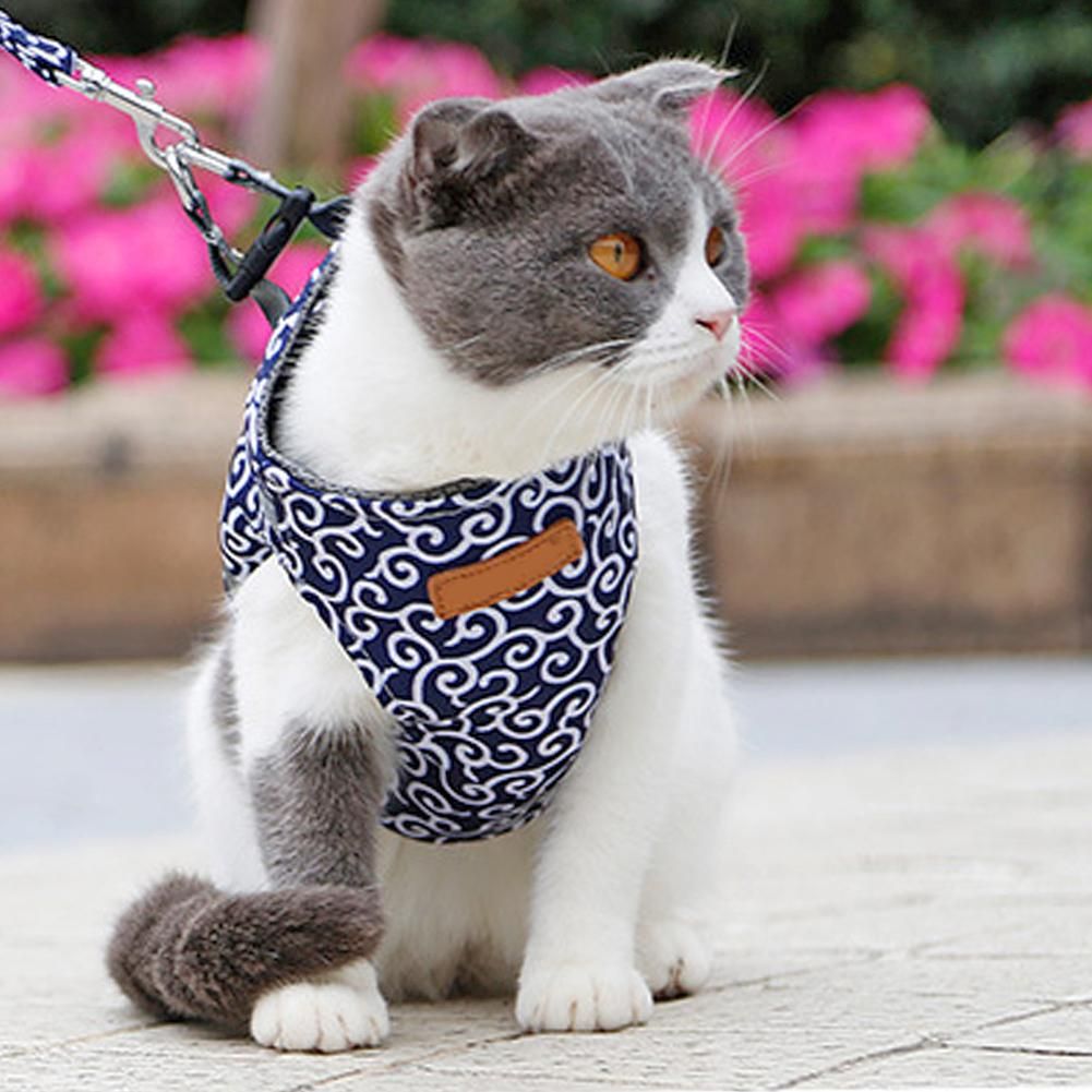 Geschirr für Katze / Hund - Blau, Größe S