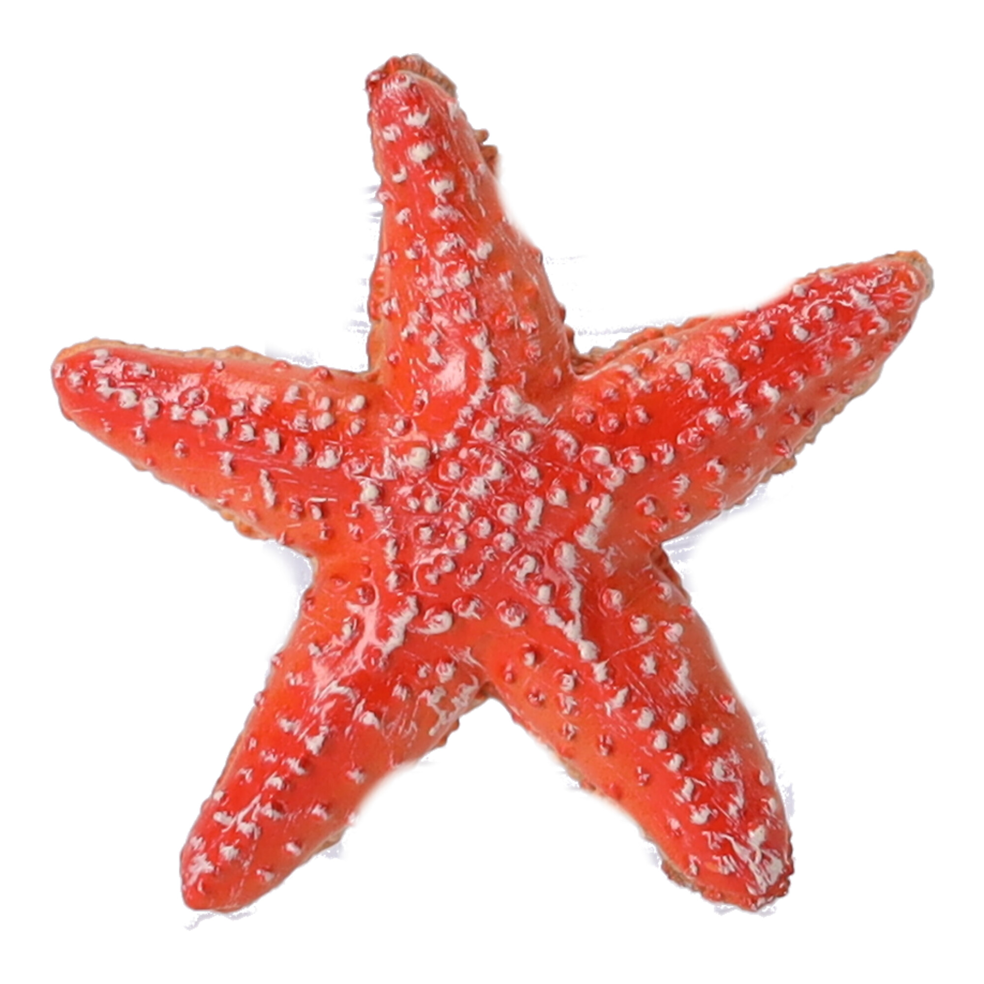 Sammlerfigur Seestern, Papo