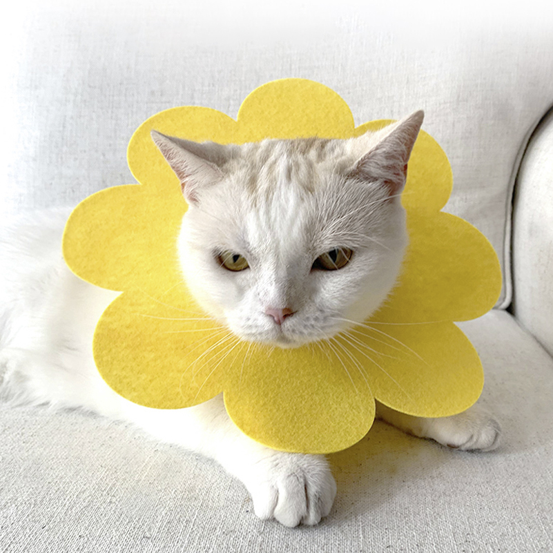 Miękki kołnierz pozabiegowy dla kota, psa, królika - żółty, rozm. XS 2