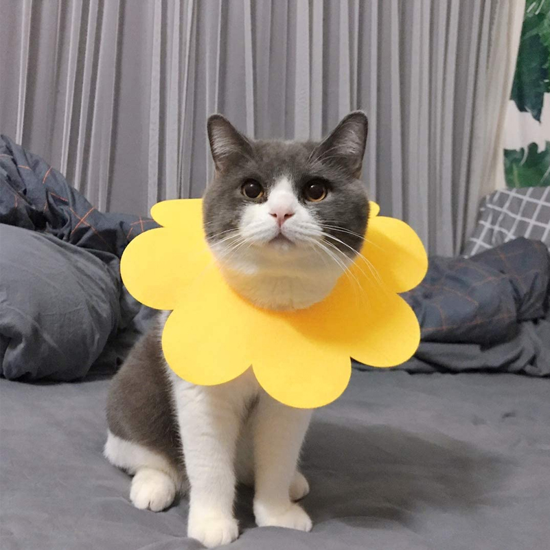 Miękki kołnierz pozabiegowy dla kota, psa, królika - żółty, rozm. XS 5